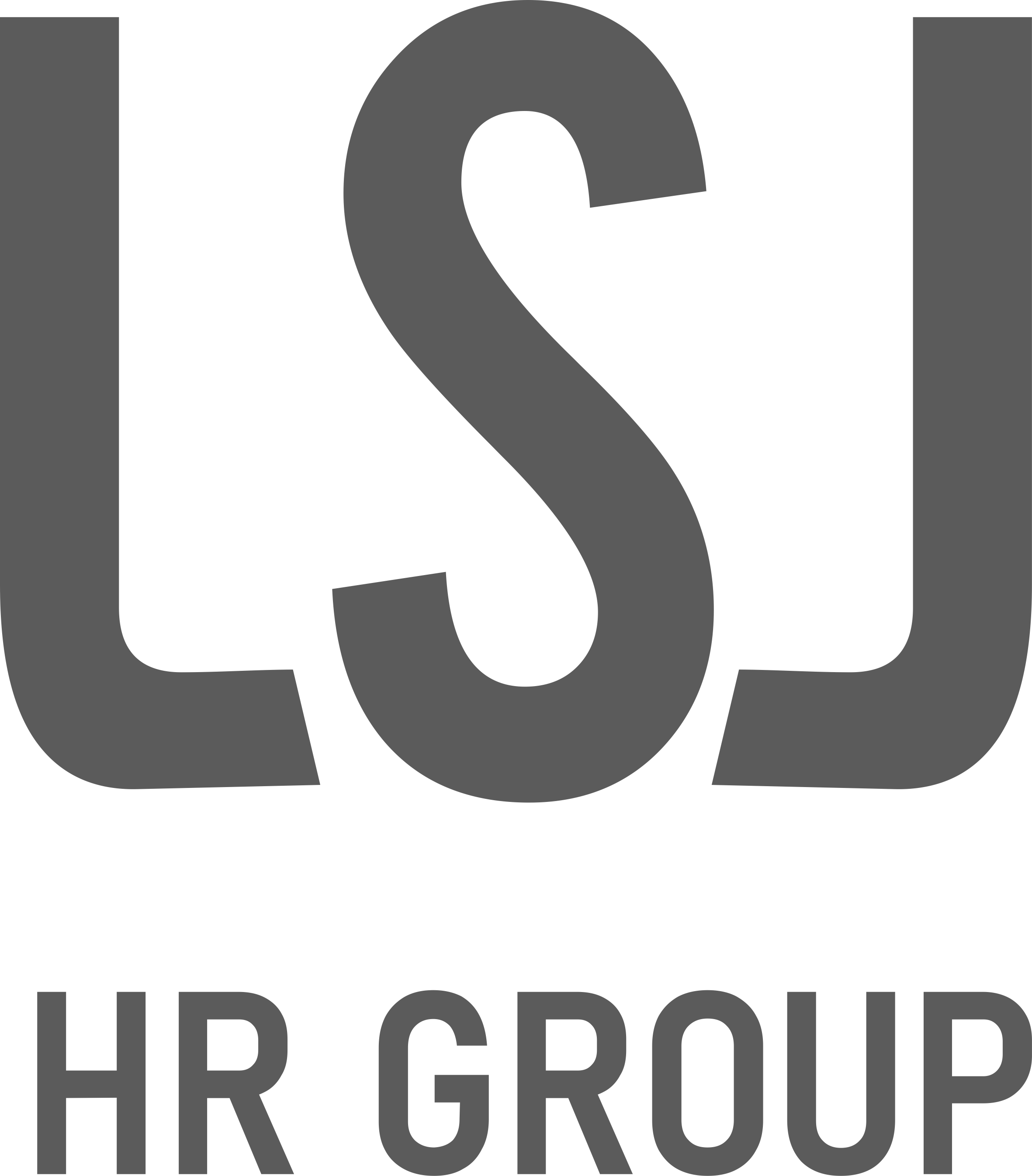 LSJ HR Group